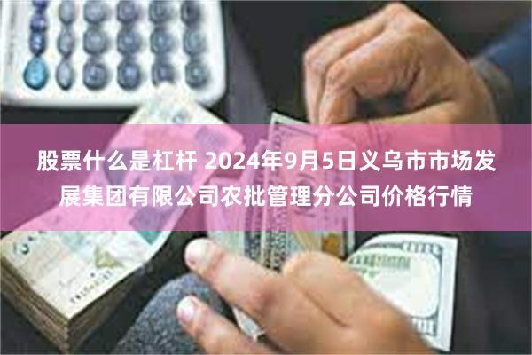 股票什么是杠杆 2024年9月5日义乌市市场发展集团有限公司农批管理分公司价格行情