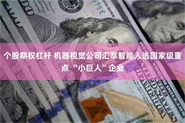 个股期权杠杆 机器视觉公司汇萃智能入选国家级重点 “小巨人”企业