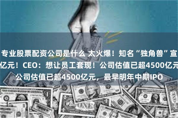 专业股票配资公司是什么 太火爆！知名“独角兽”宣布：已完成融资627亿元！CEO：想让员工套现！公司估值已超4500亿元，最早明年中期IPO