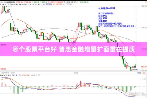 哪个股票平台好 普惠金融增量扩面重在提质