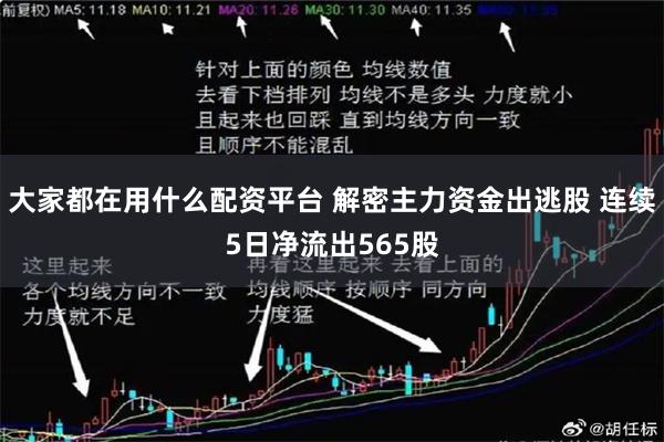 大家都在用什么配资平台 解密主力资金出逃股 连续5日净流出565股