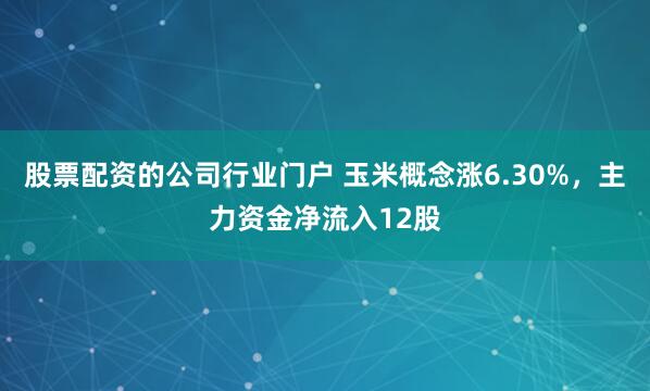 股票配资的公司行业门户 玉米概念涨6.30%，主力资金净流入12股