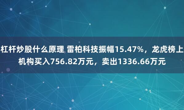 杠杆炒股什么原理 雷柏科技振幅15.47%，龙虎榜上机构买入756.82万元，卖出1336.66万元