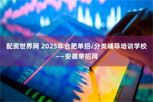 配资世界网 2025年合肥单招/分类辅导培训学校——安徽单招网