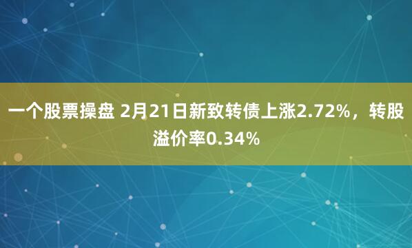 一个股票操盘 2月21日新致转债上涨2.72%，转股溢价率0.34%