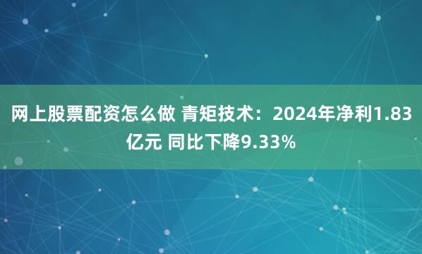 网上股票配资怎么做 青矩技术：2024年净利1.83亿元 同比下降9.33%