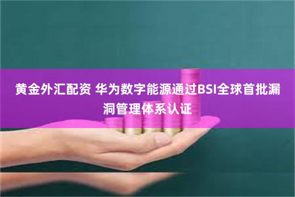 黄金外汇配资 华为数字能源通过BSI全球首批漏洞管理体系认证