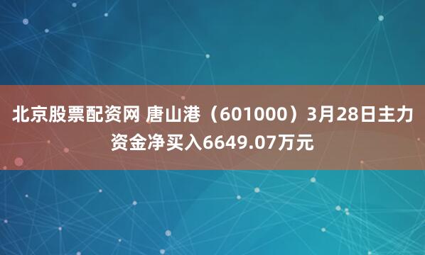 北京股票配资网 唐山港(601000)3月28日主力资金净买入6649.07万元