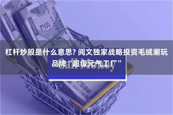 杠杆炒股是什么意思? 阅文独家战略投资毛绒潮玩品牌“超级元气工厂”
